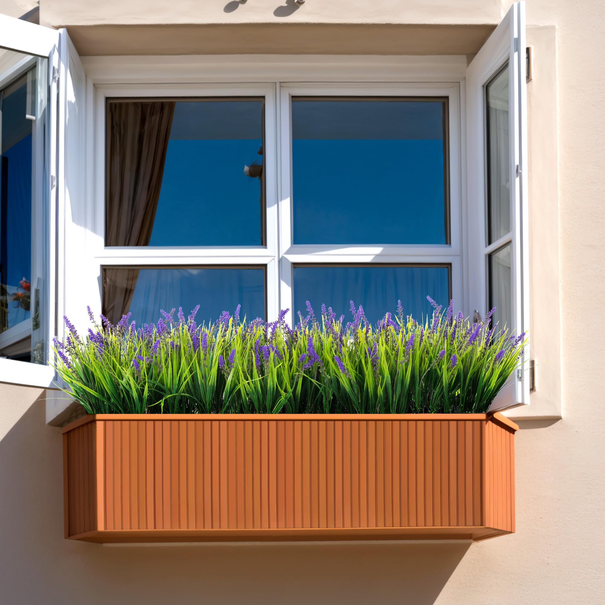 Ammyoo monkey grass close-up reveals seven-branch texture for realism