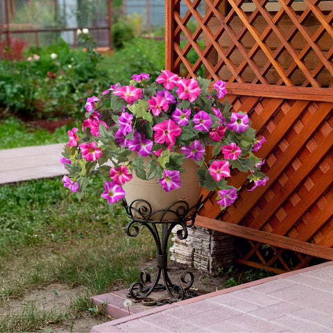 Ammyoo UV-resistant petunia close-up preserves vibrant shades.