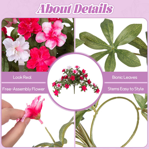 Ammyoo azalea UV-resistant flowers maintaining bright color in sun
