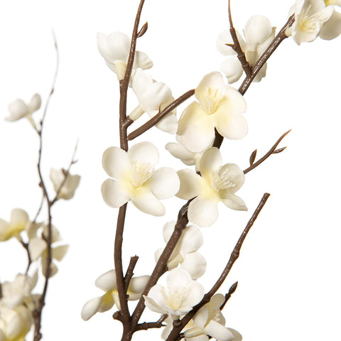Ammyoo cherry blossom branch close-up petals with soft silk texture.