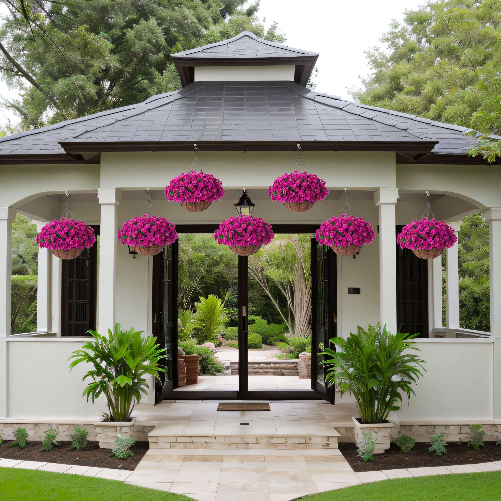 Ammyoo fuchsia tones brighten outdoor spaces without watering.