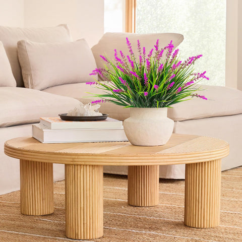 Ammyoo indoor greenery enhances dining rooms with natural look.