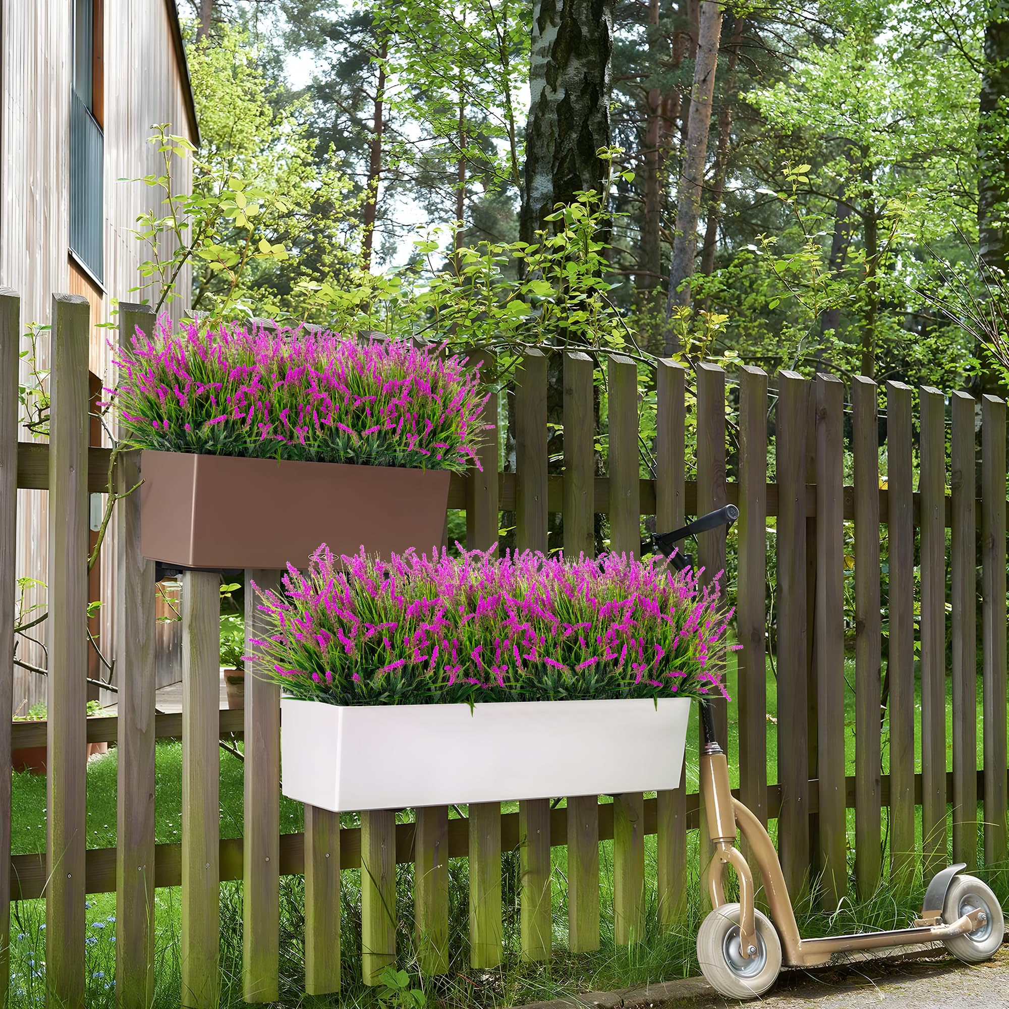 Ammyoo lavender bush for garden borders, colorfast.