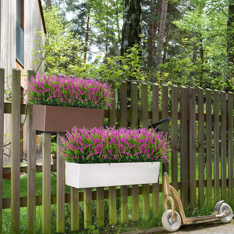 Ammyoo lavender bush for garden borders, colorfast.