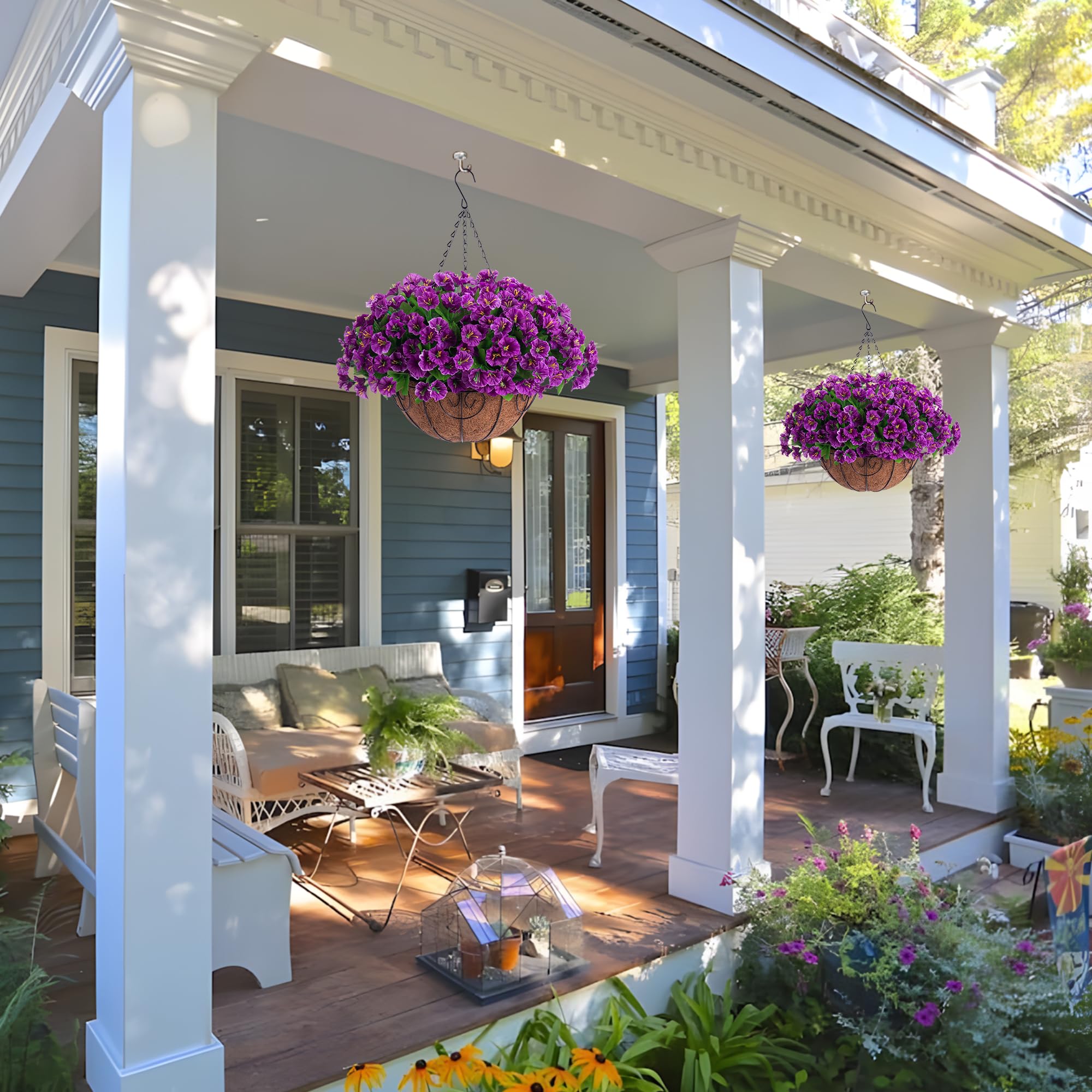 Ammyoo lotus edition petunia and morning glory mix brightens garden entryways.