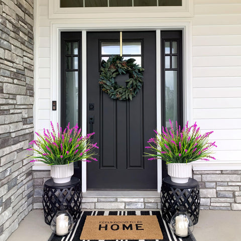 Ammyoo lotus-focused plants brighten small patios.