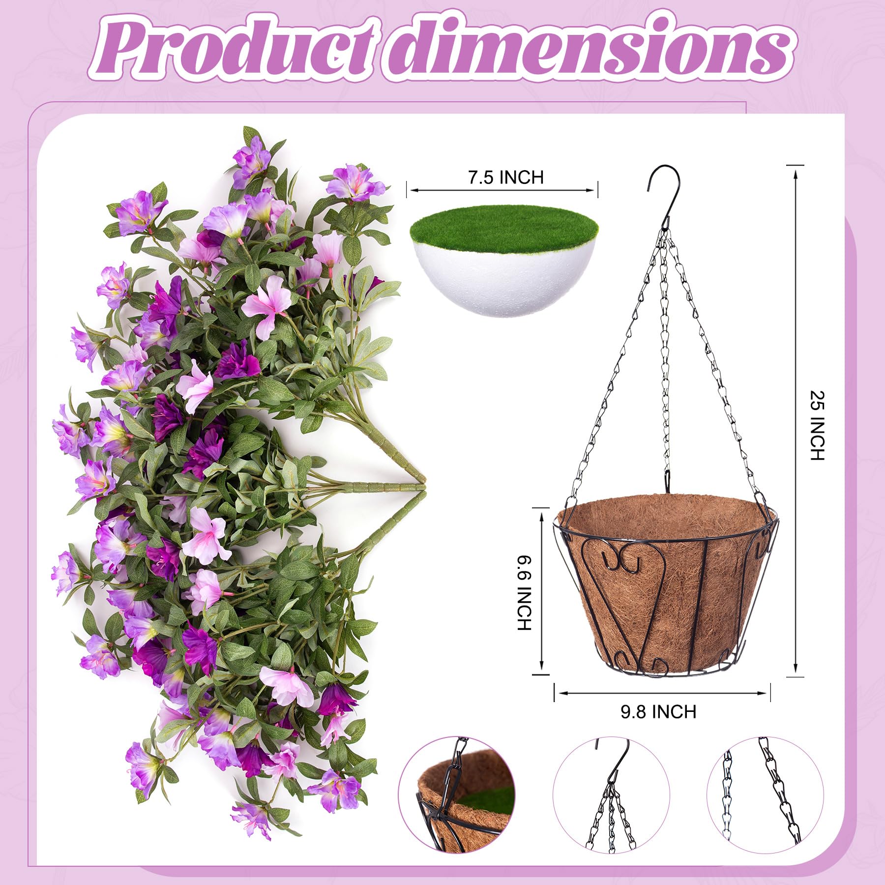 Maintenance-free Ammyoo flowers require no watering or pruning.
