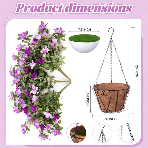Maintenance-free Ammyoo flowers require no watering or pruning.