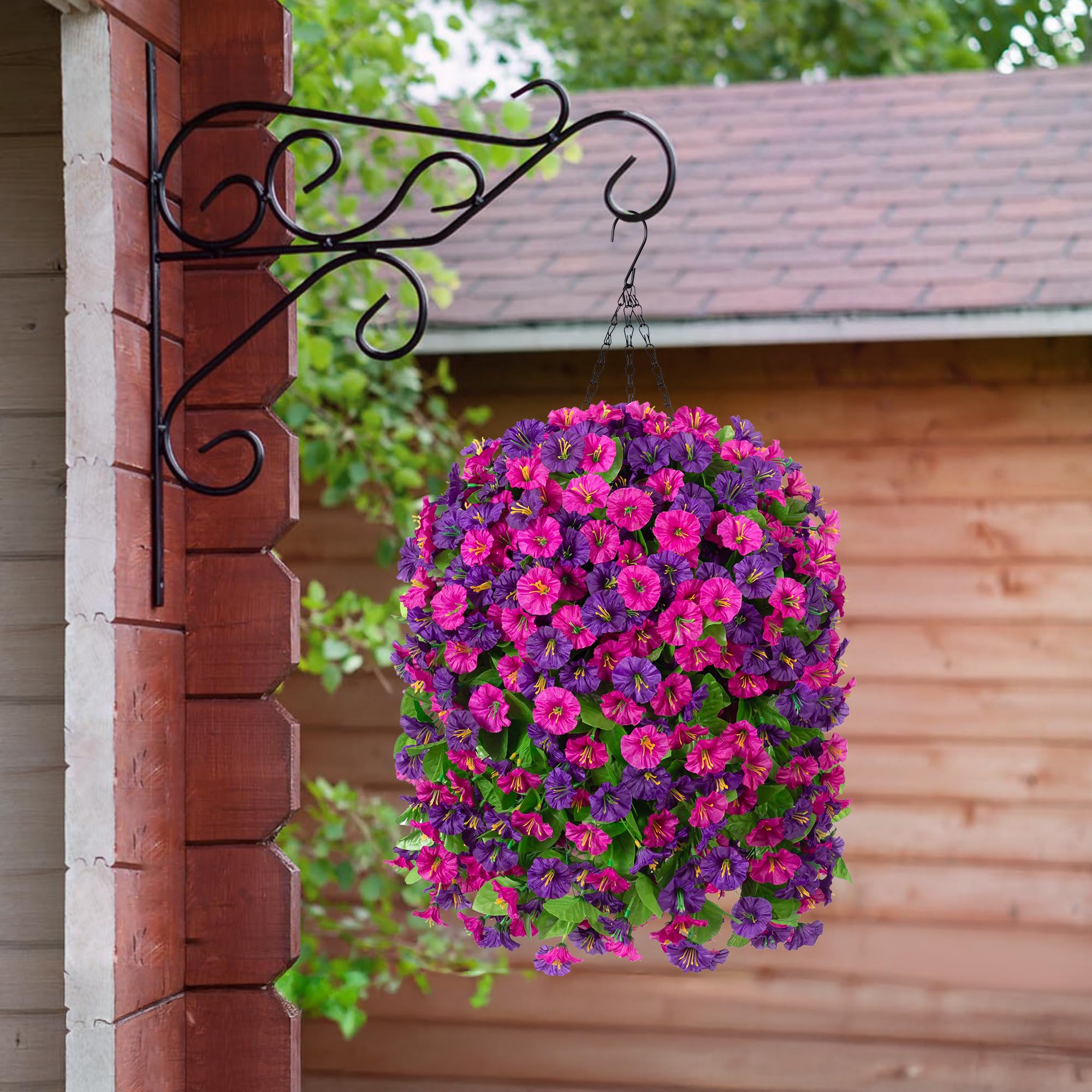 Ammyoo morning glory branches add vibrant color to porches and patios