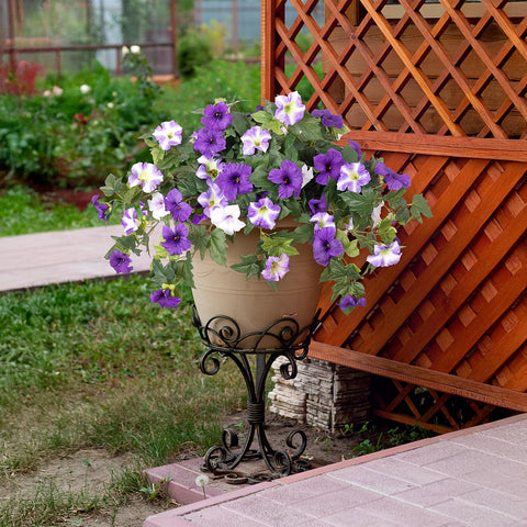 Ammyoo maintenance-free flowers require no water or trimming