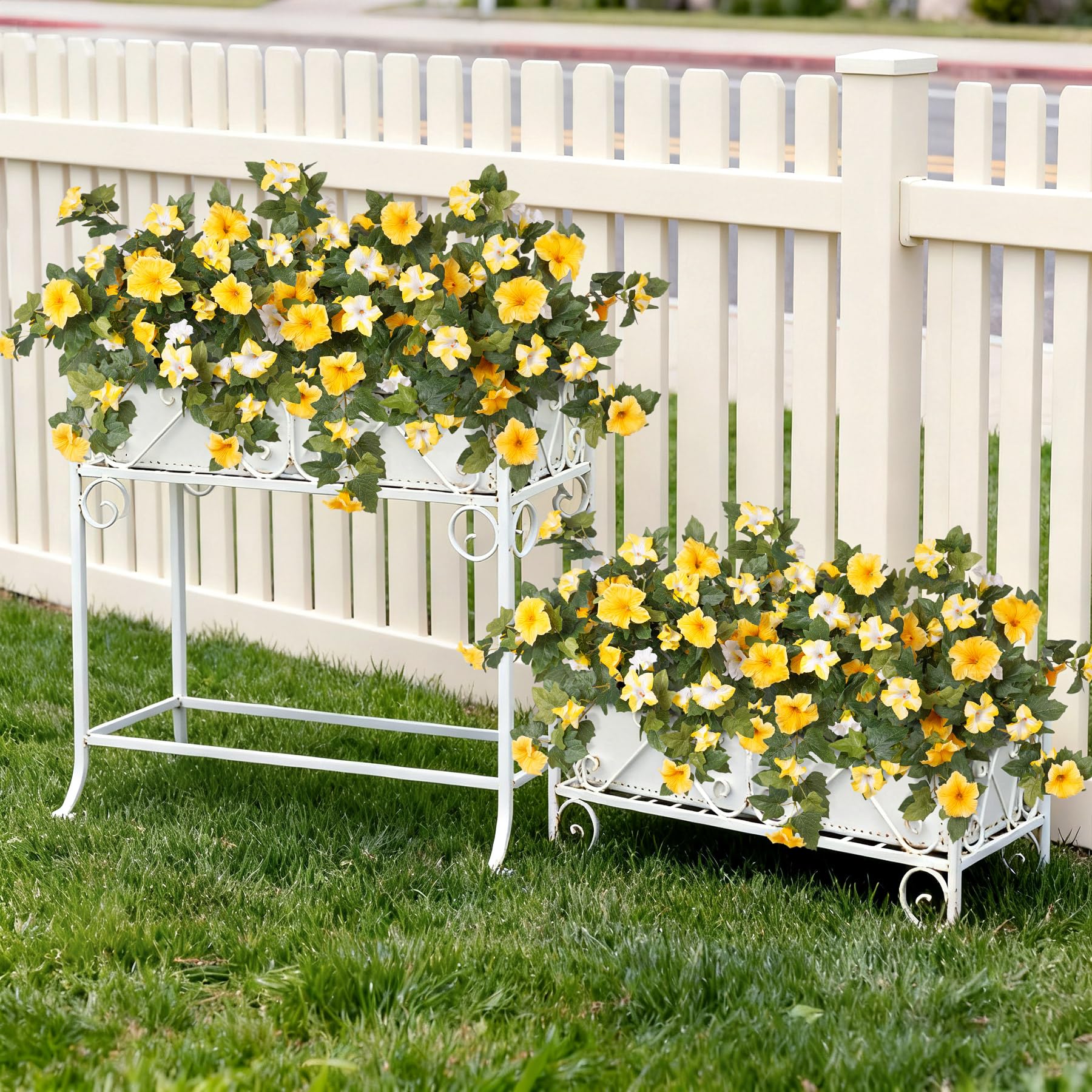 Ammyoo petunia display on garden balcony for vibrant accents.