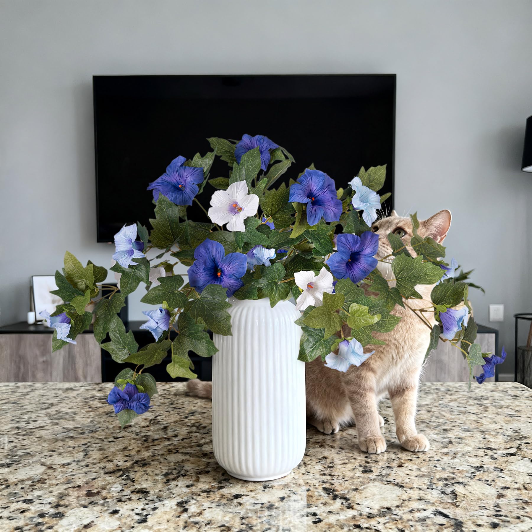 Ammyoo Petunia blue-white decorative flowers brighten entryways