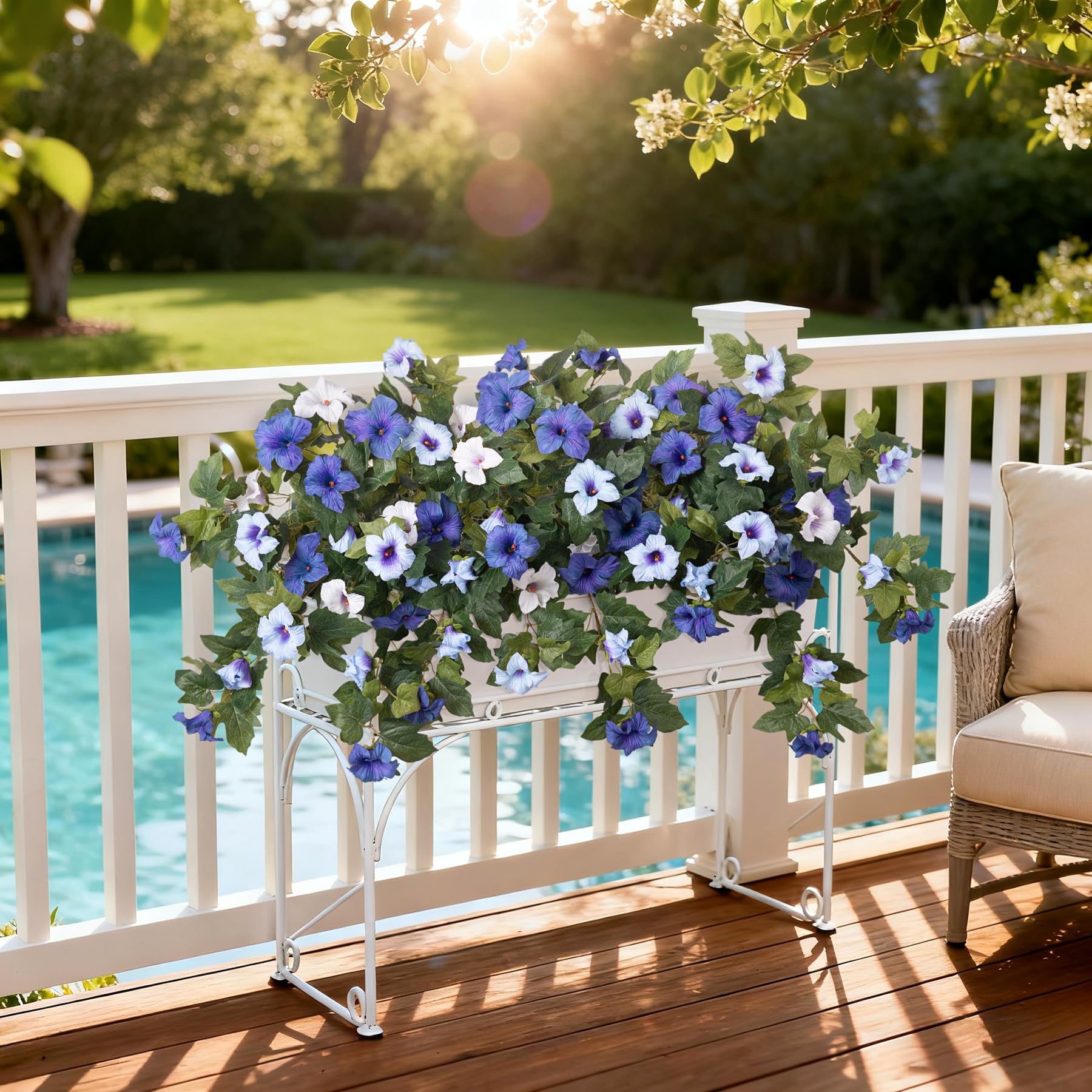 Ammyoo Petunia blue-white bloom in yard display with UV durability