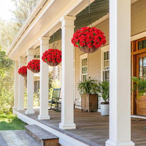 Ammyoo petunias close-up red: realistic petals for porch charm