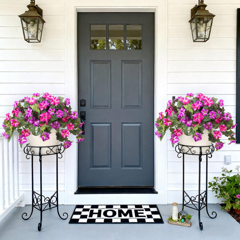 Ammyoo petunias front door display brightens entryway.