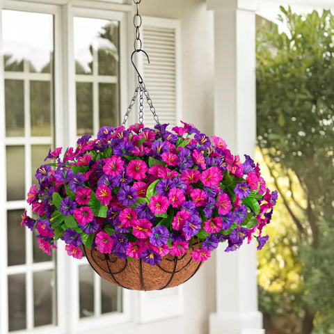 Ammyoo petunias in a hanging arrangement add lasting color to porches.