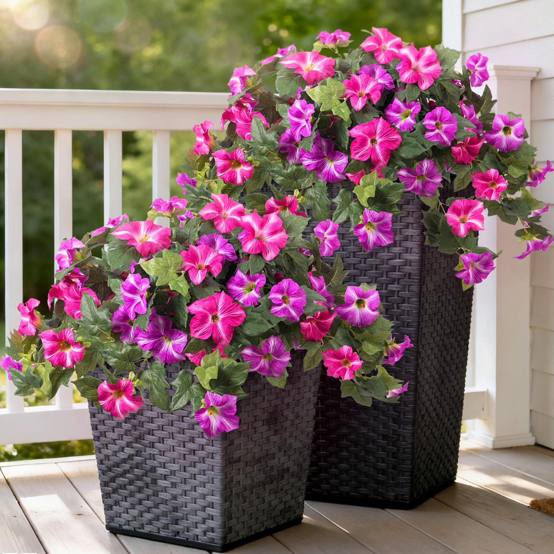 Ammyoo petunias outdoor branch full bloom add vibrant curb appeal.