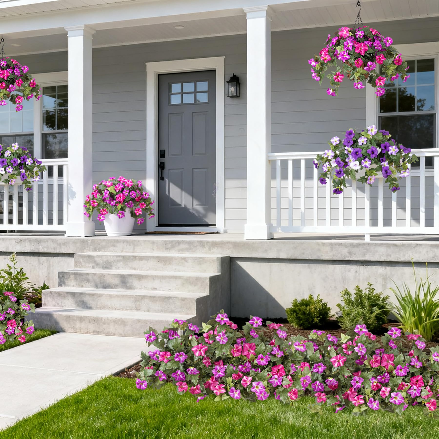 Ammyoo petunias uv-resistant leaves maintain outdoor beauty.