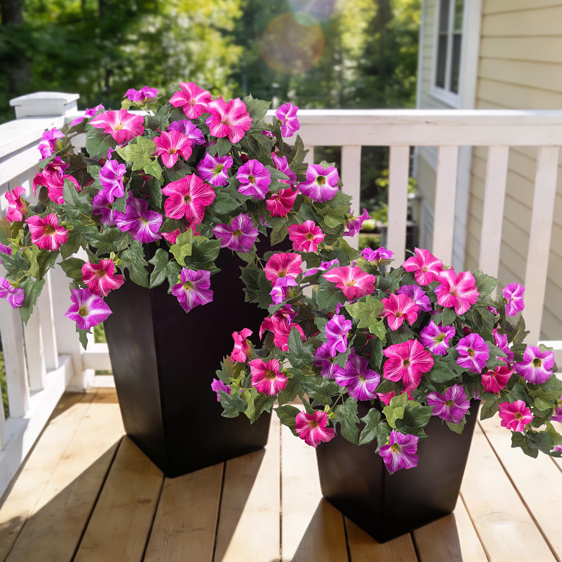 Ammyoo petunias yard border offers low-maintenance color.