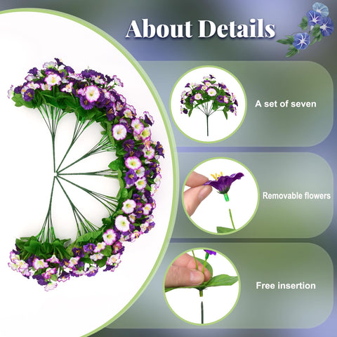 Ammyoo purple edge blooms close-up showcase vibrant maintenance-free charm.