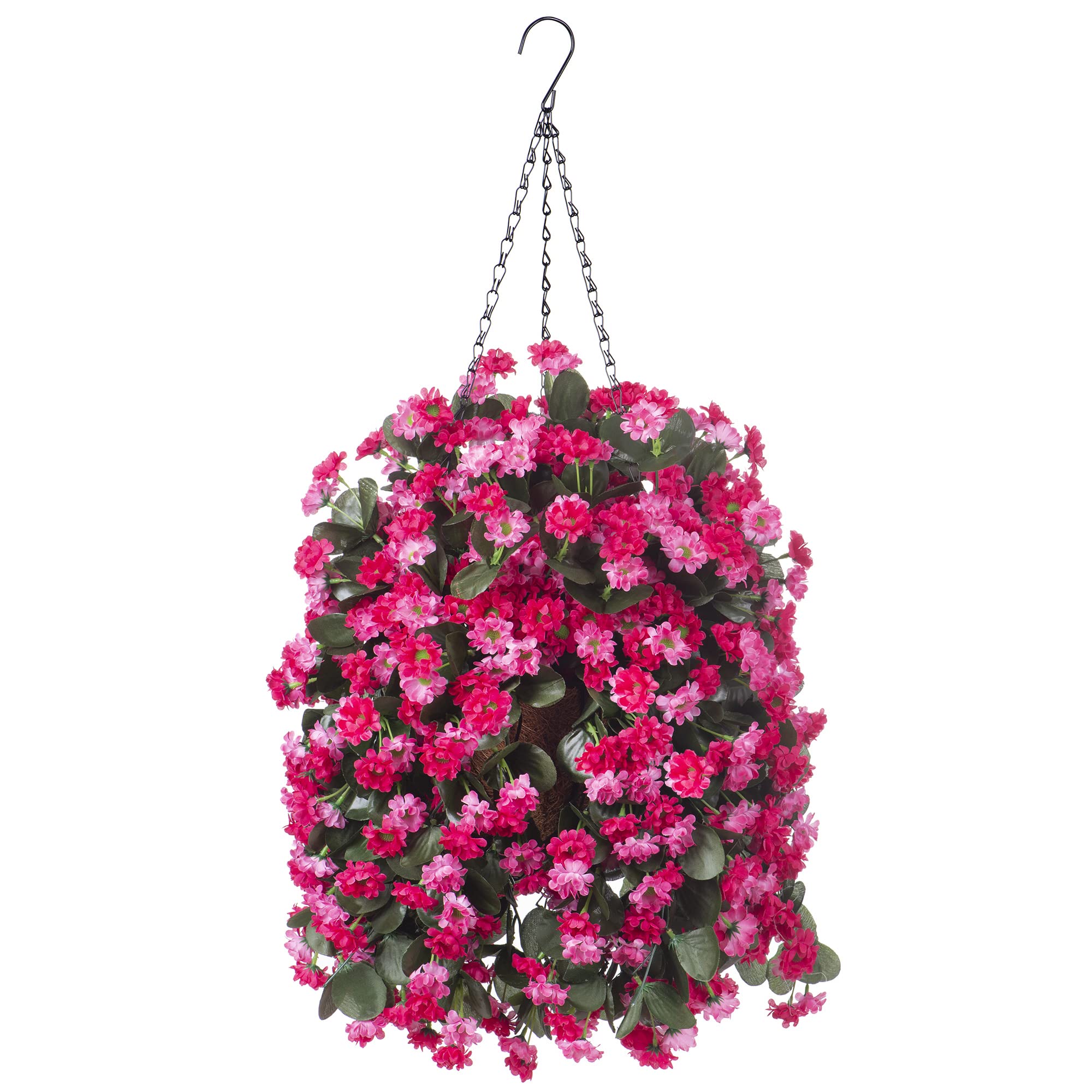 Ammyoo rose red hanging basket flowers brighten porches with maintenance-free charm