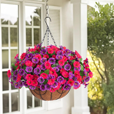Ammyoo silk petunias close-up showing vibrant color and low maintenance appeal.