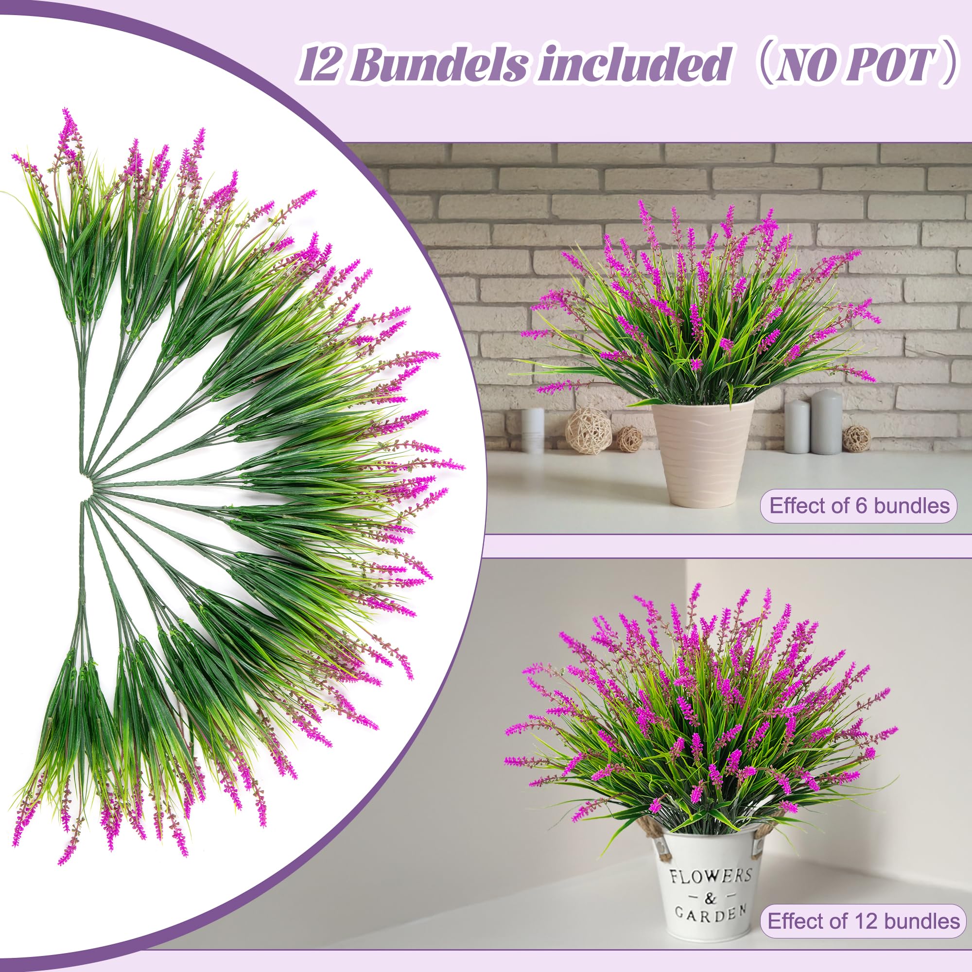 Ammyoo UV-resistant lavender shrub withstands sun exposure.