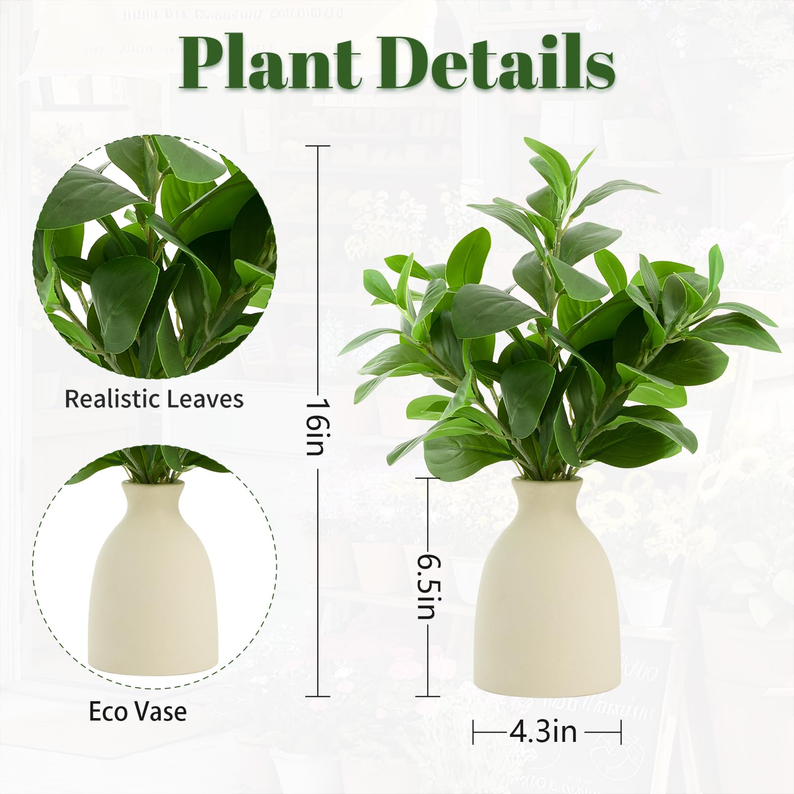 Amore Florals desk greenery enhances shelves with low-maintenance charm.