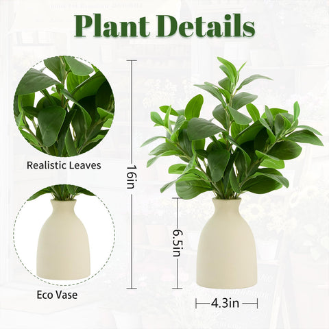 Amore Florals desk greenery enhances shelves with low-maintenance charm.