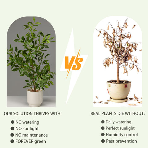Amore Florals ceramic planter is ready to display with a neutral, versatile finish.