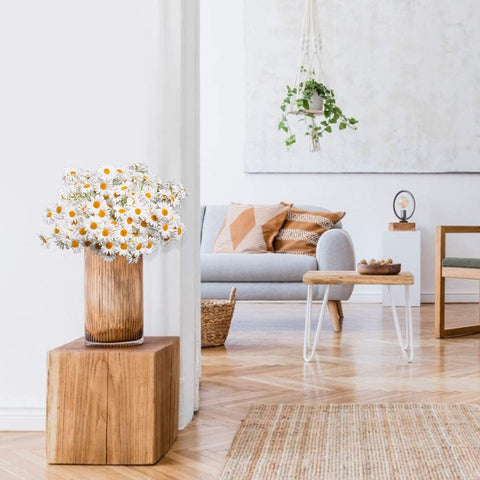 AmyHomie daisies add soft charm to living room decor
