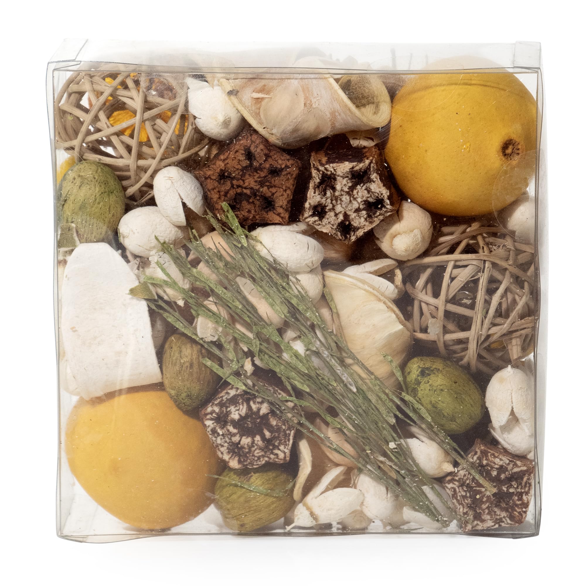 Andaluca preserved botanicals create a lasting accent in your decor.