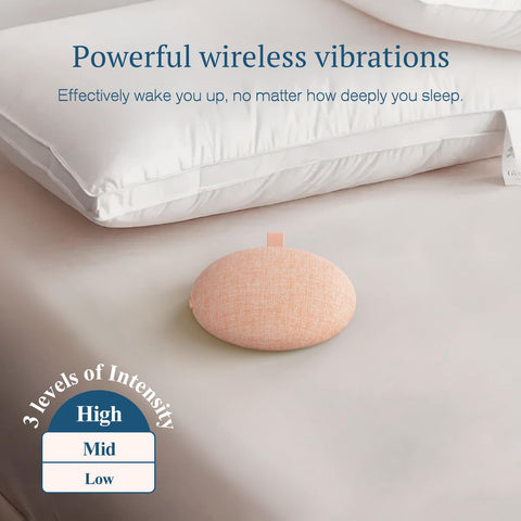 ANJANK dual alarms with multiple sounds for varied schedules