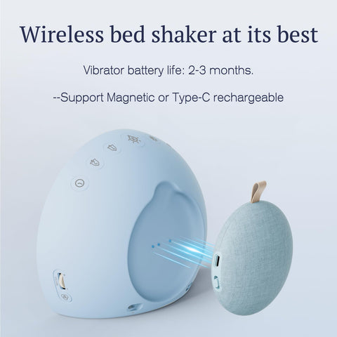 ANJANK alarm clock 0-100 percent dimmer for day and night use