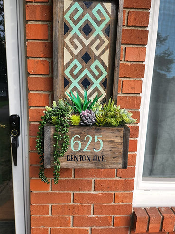 Anoak mix of succulents for DIY floral decor and custom arrangements.
