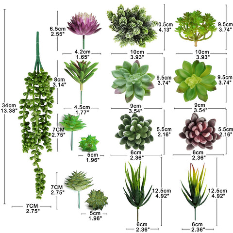 Anoak durable artificial succulents retain detail and shape over time.