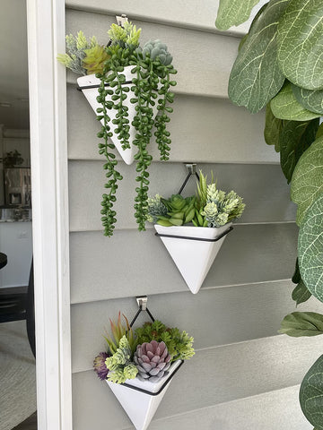 Anoak odorless, pet-safe faux succulents for a clean, worry-free home.