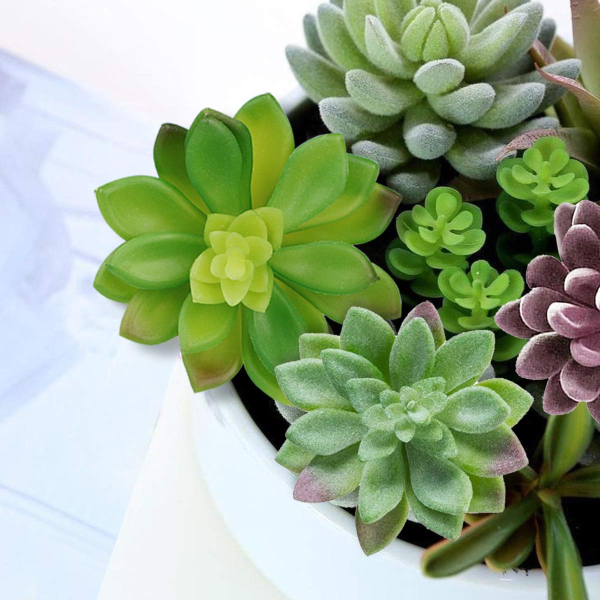 Anoak unpotted succulents in a planter showing versatile indoor decoration.