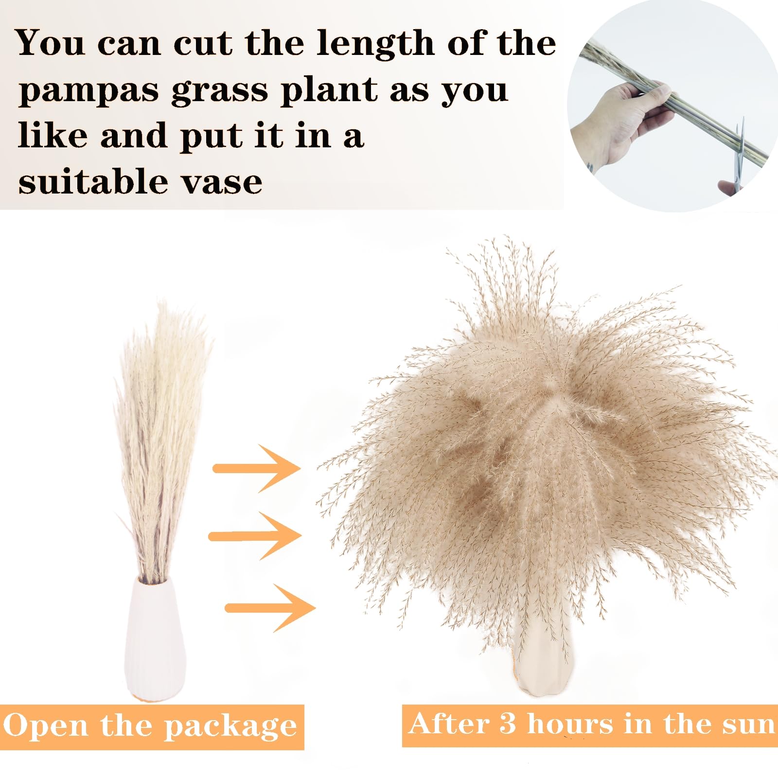 ANPROOR lovers grass pampas accents for romantic table decor and rustic weddings