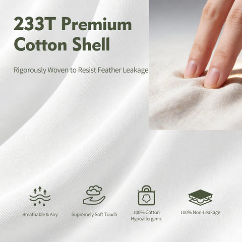 ANT-HOME versatile pillow insert suitable for lounging, reading, and relaxation.