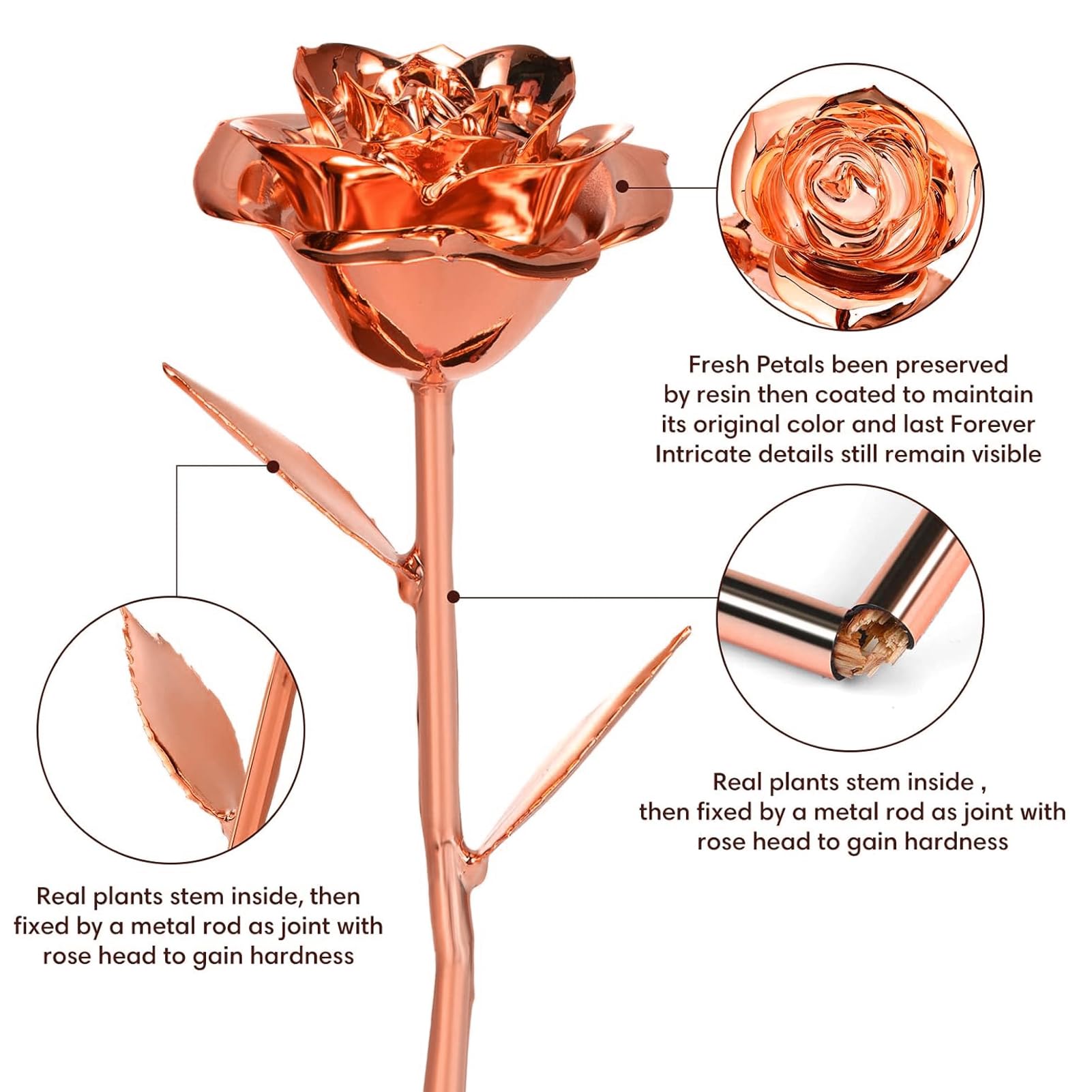 Anthonic infinity rose with clear holder, elegant display for home or shop.
