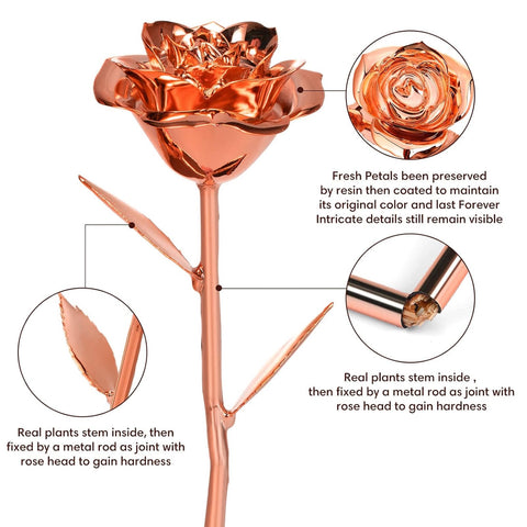 Anthonic infinity rose with clear holder, elegant display for home or shop.