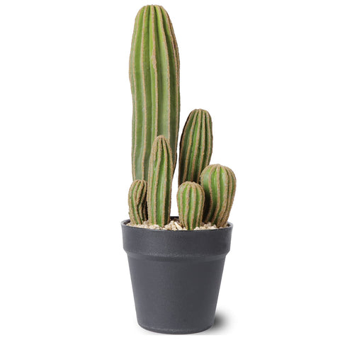 AntHousePlant artificial cactus 16-inch in pot, durable home decor with low maintenance.