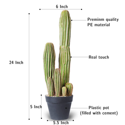 AntHousePlant lush faux cactus close-up highlighting natural texture and color
