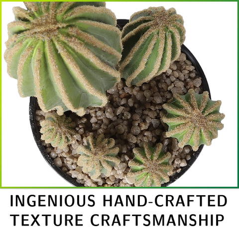 AntHousePlant artificial cactus for desks and reception areas, maintenance-free.