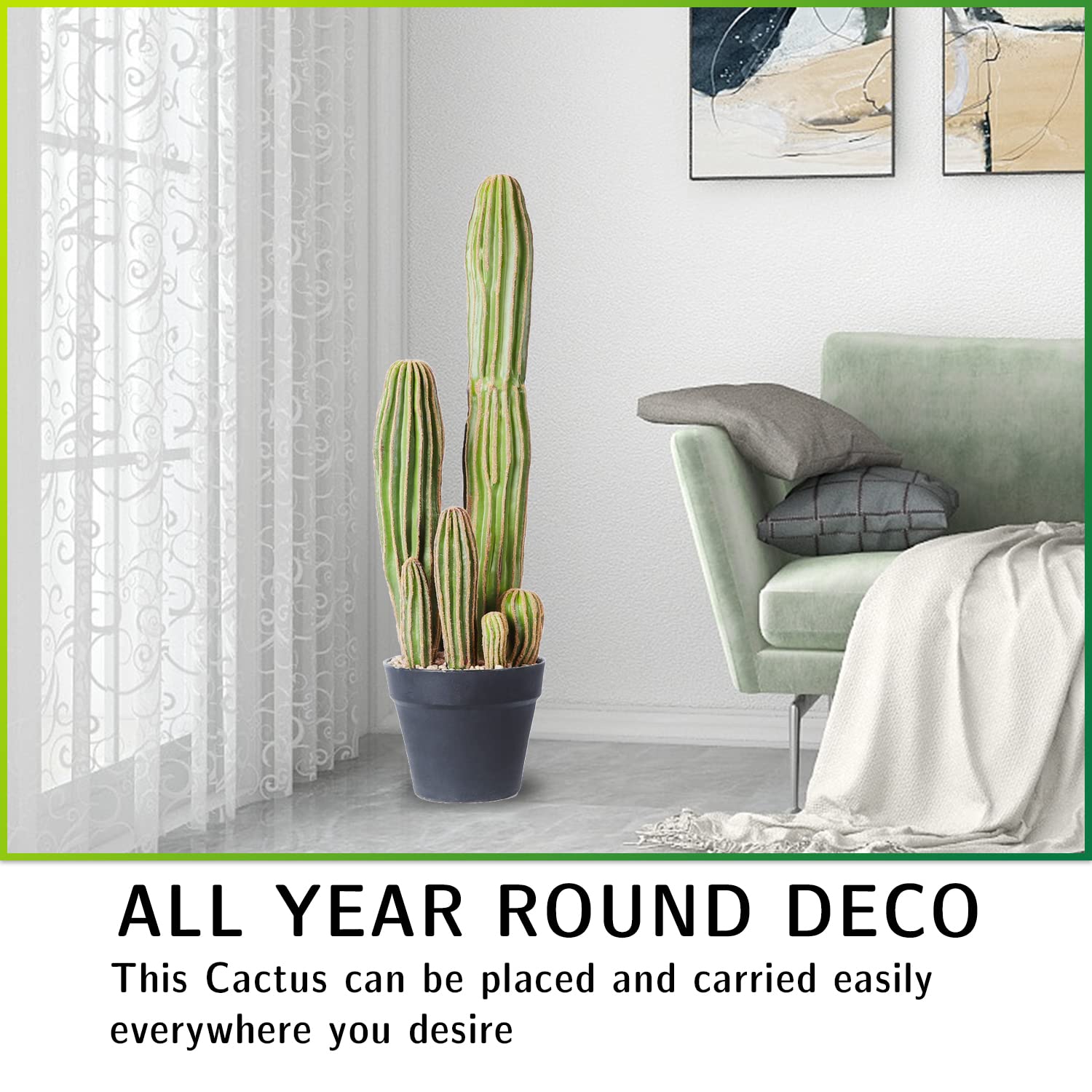 AntHousePlant durable indoor-outdoor cactus for high-traffic spaces