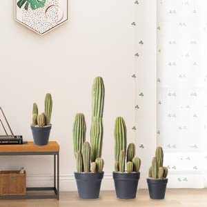 AntHousePlant potted cactus detail elevates tabletops with natural look.