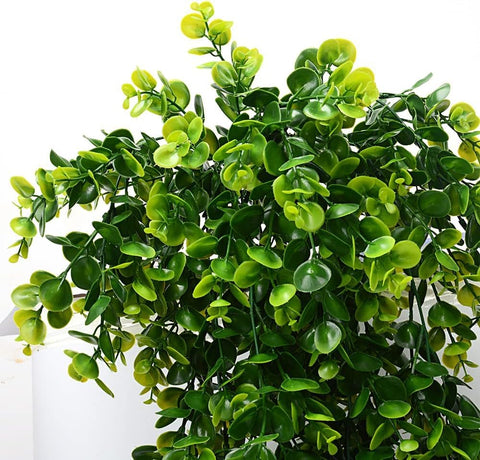 Antspirit hanging plants on porch for outdoor accent.