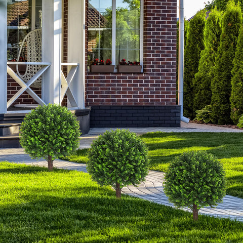 AOKIIE topiary versatile for indoor or outdoor pots