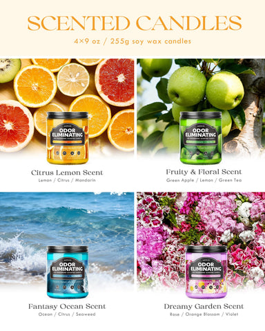 AOOVOO ocean blend candle refreshing a smoky living area